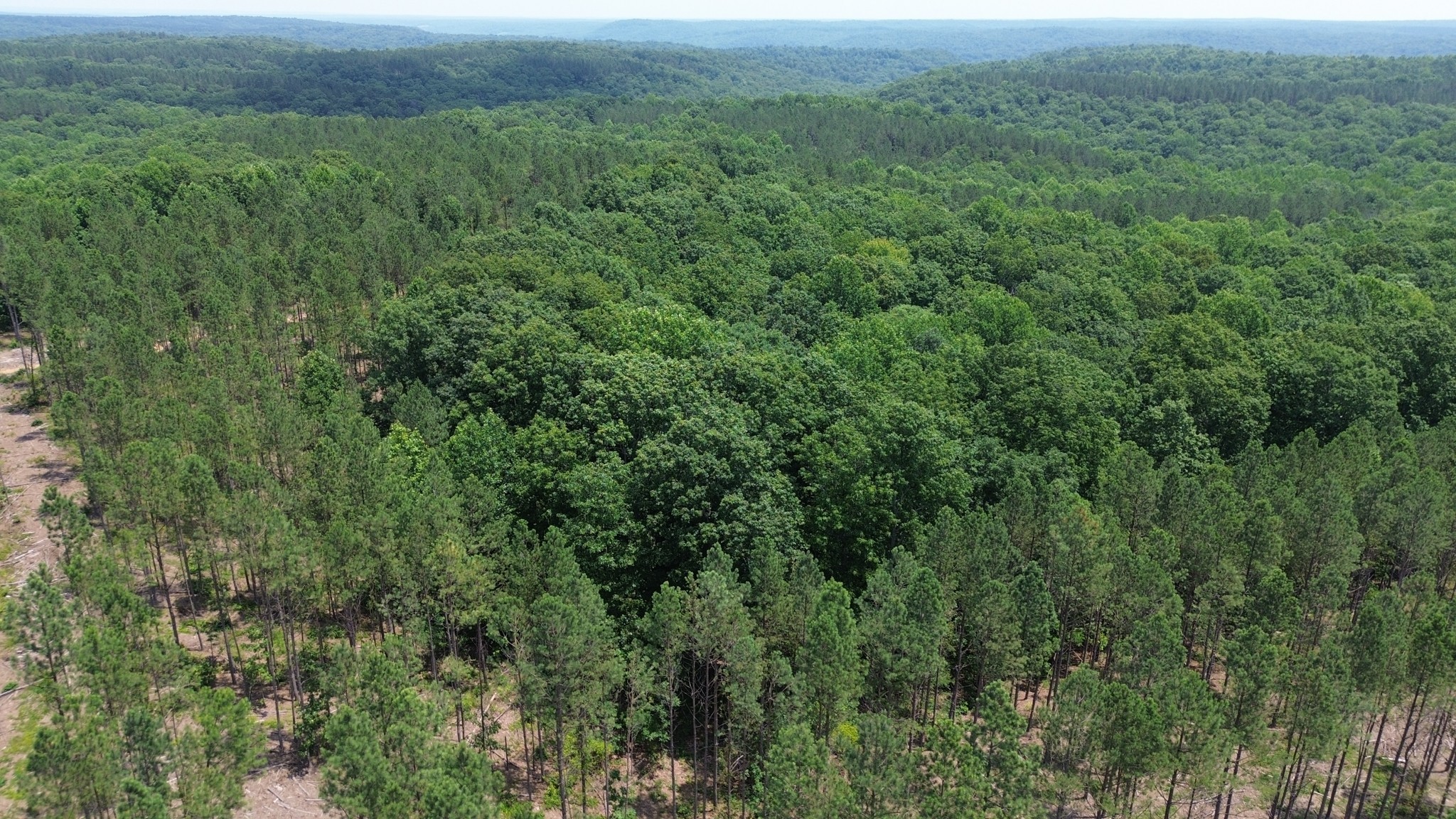 0 Mayfield Divide Road Centerville, TN 37033 - Photo 16 of 38