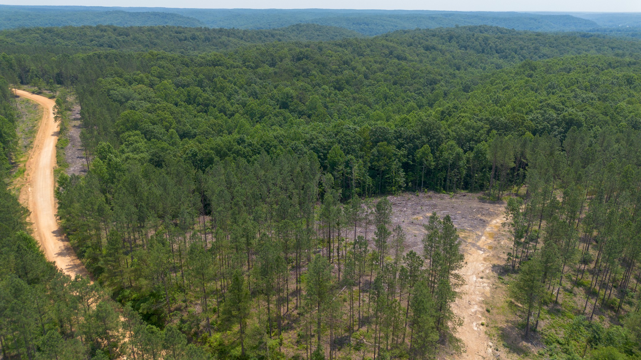0 Mayfield Divide Road Centerville, TN 37033 - Photo 19 of 38