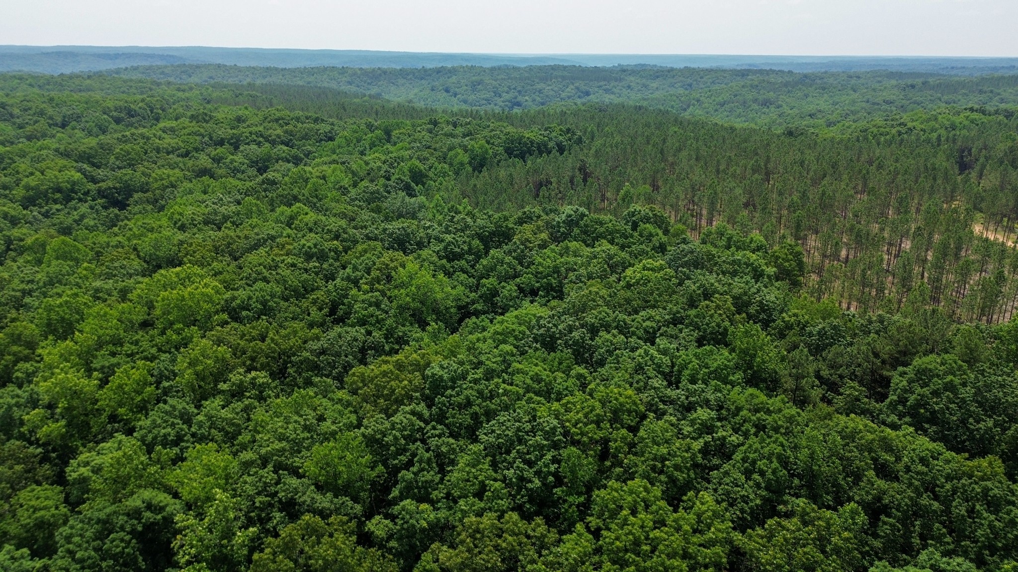 0 Mayfield Divide Road Centerville, TN 37033 - Photo 2 of 38