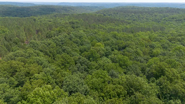 a view of a field of grass and mountain