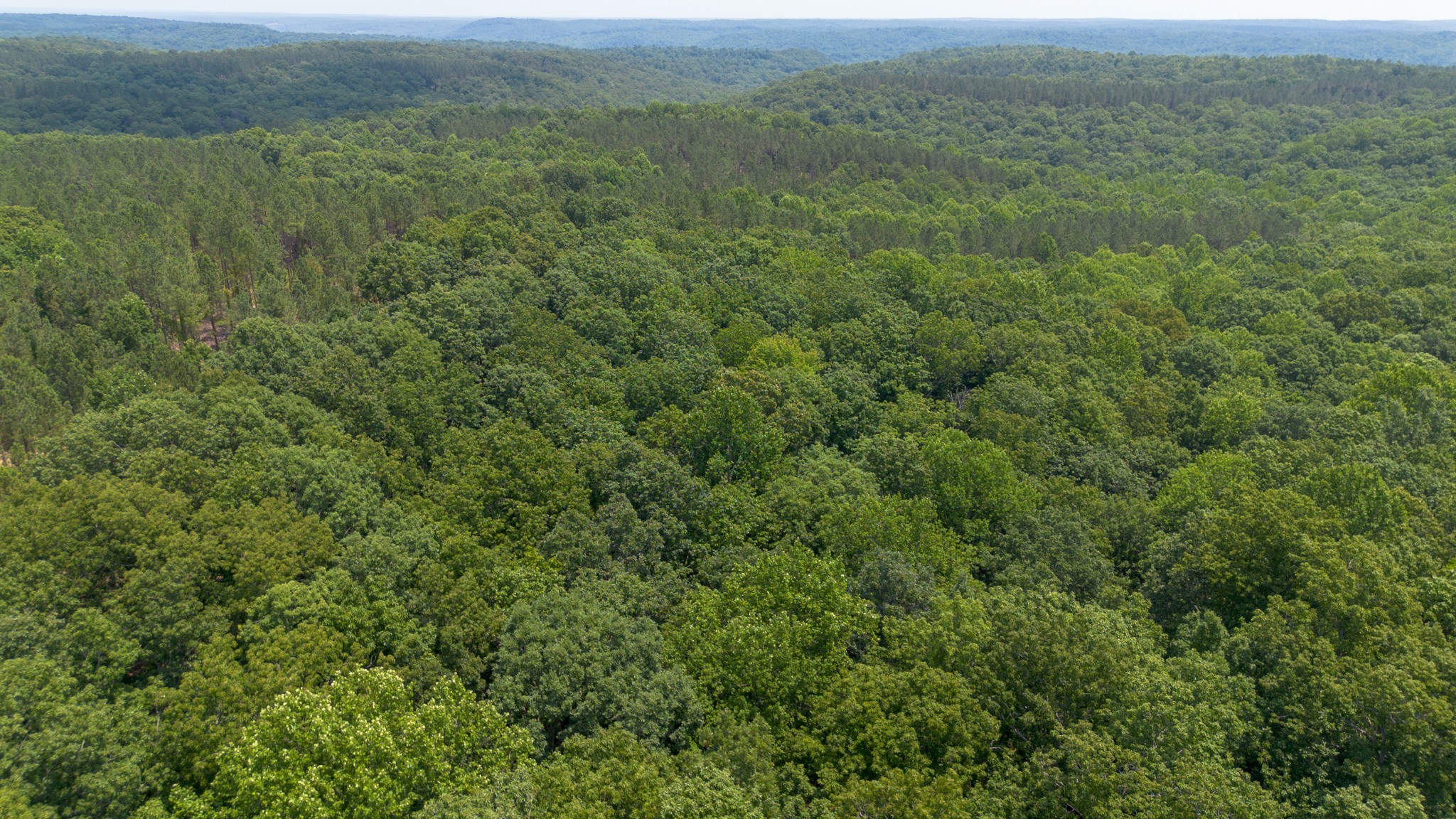 0 Mayfield Divide Road Centerville, TN 37033 - Photo 21 of 38