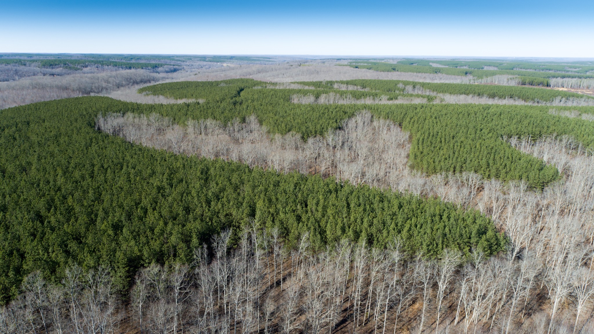 0 Mayfield Divide Road Centerville, TN 37033 - Photo 22 of 38