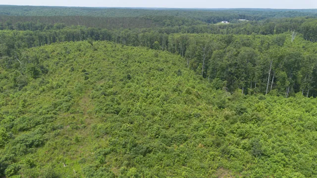 a view of a field of grass and trees