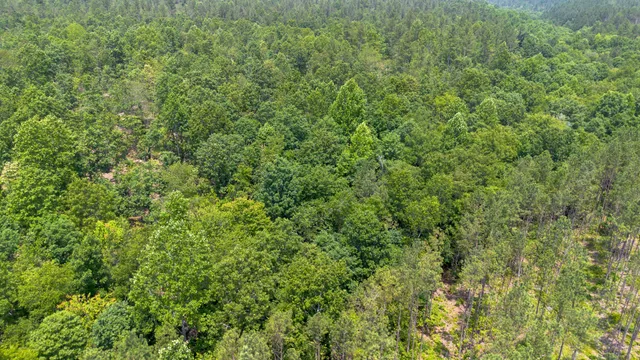 a view of a large yard with lots of green space