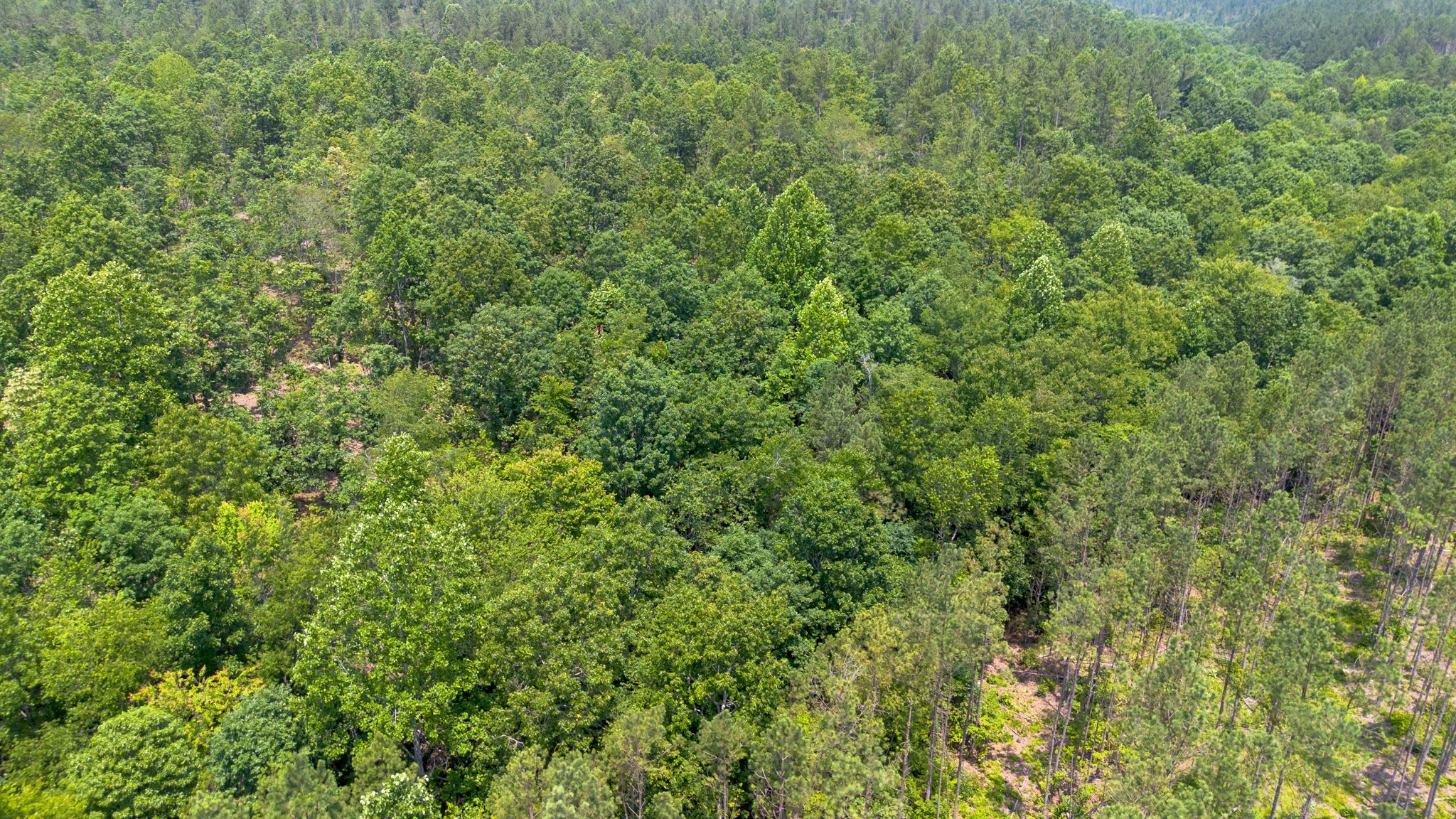 0 Mayfield Divide Road Centerville, TN 37033 - Photo 24 of 38