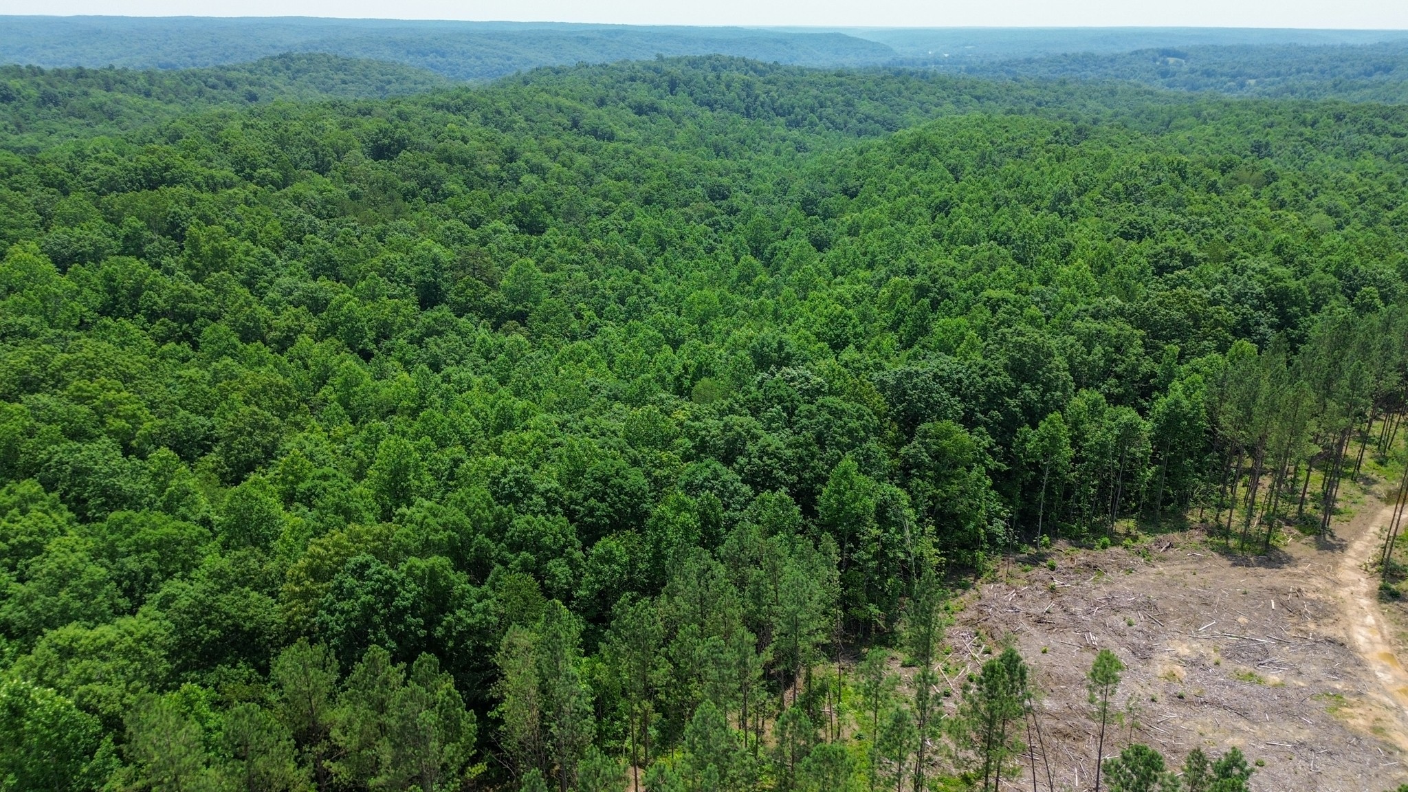 0 Mayfield Divide Road Centerville, TN 37033 - Photo 27 of 38
