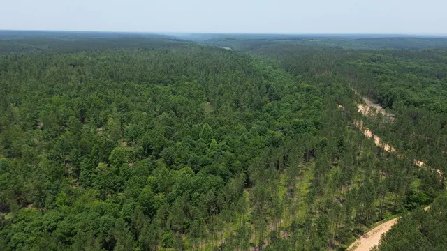 a view of a green field with lots of bushes