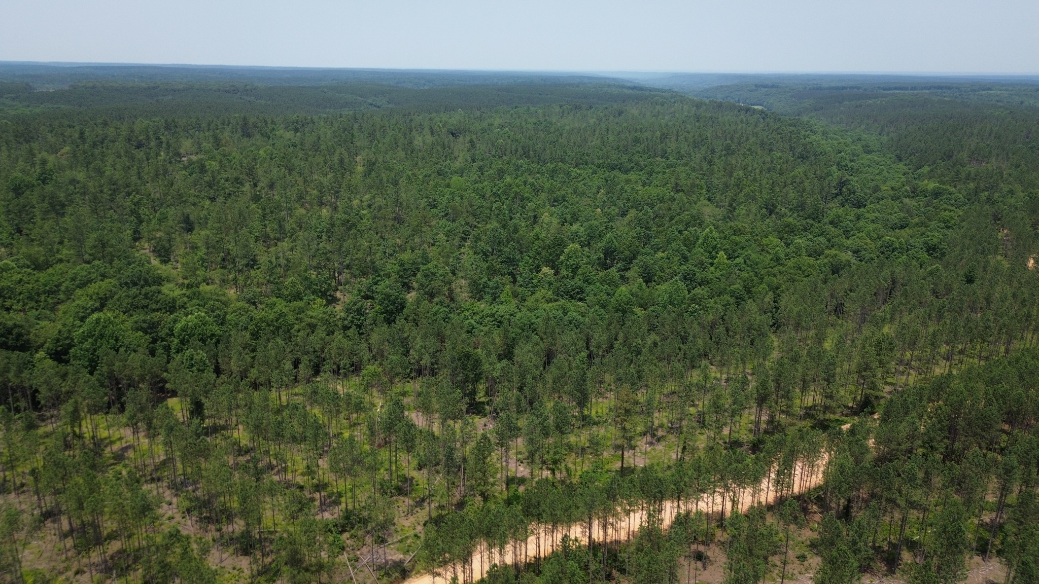 0 Mayfield Divide Road Centerville, TN 37033 - Photo 31 of 38