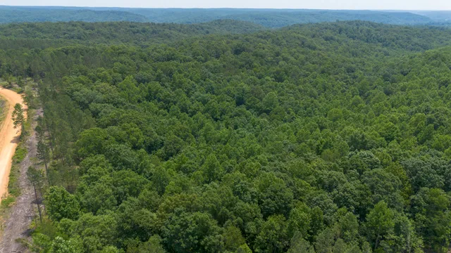 an aerial view of a yard