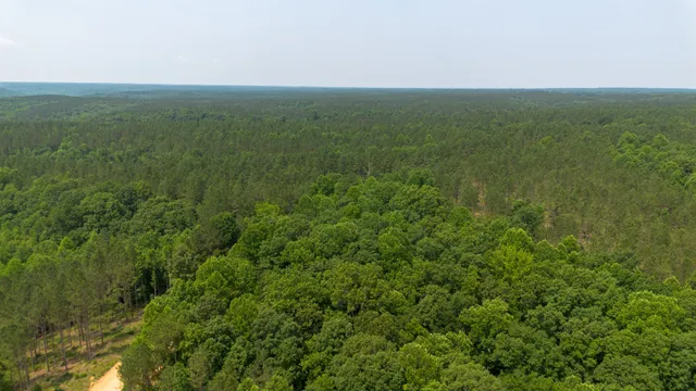 a view of a field with an ocean