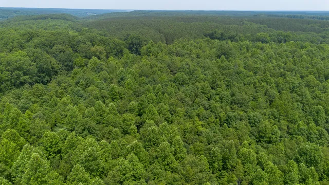 a view of a green field with lots of bushes