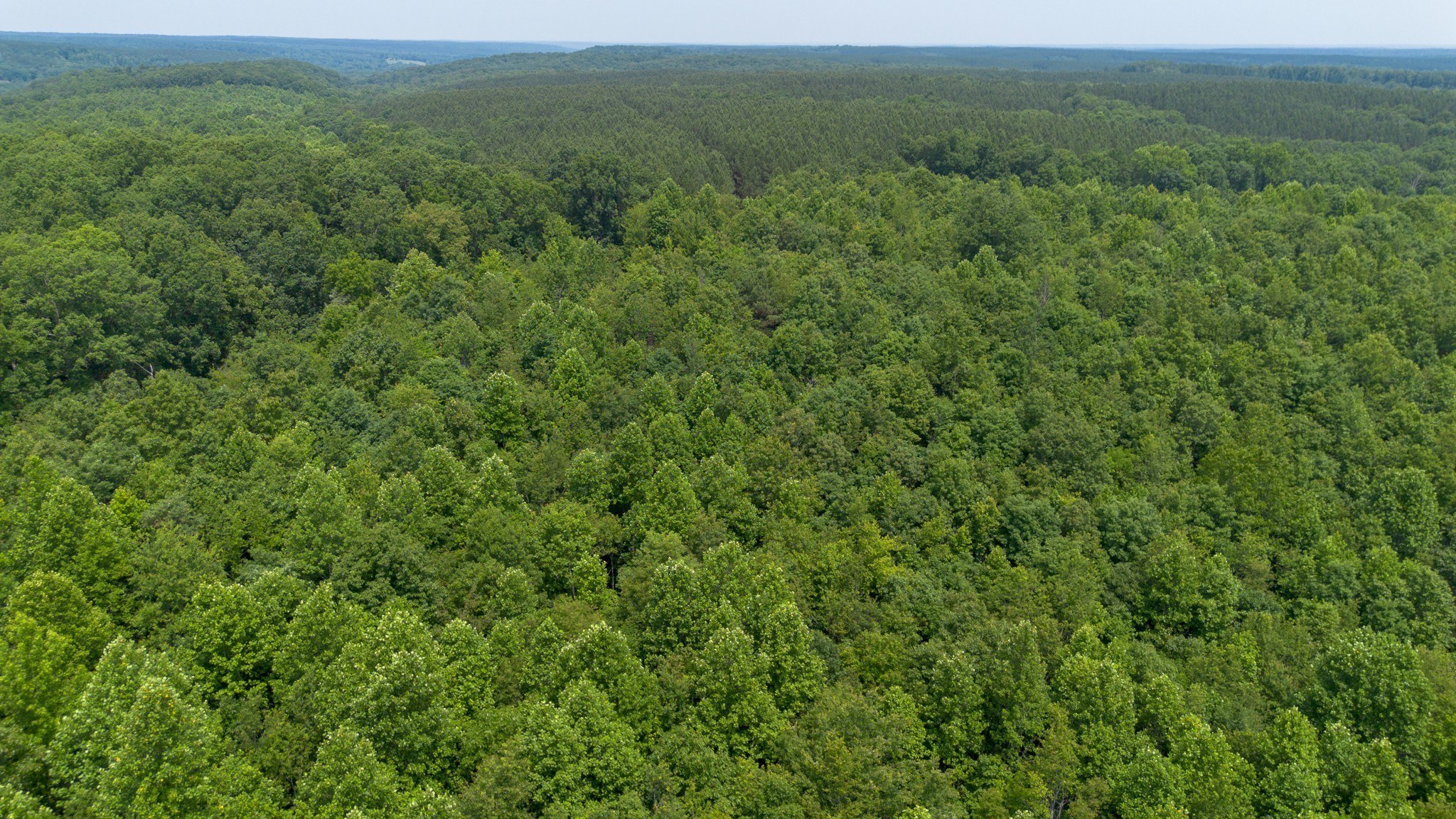 0 Mayfield Divide Road Centerville, TN 37033 - Photo 7 of 38