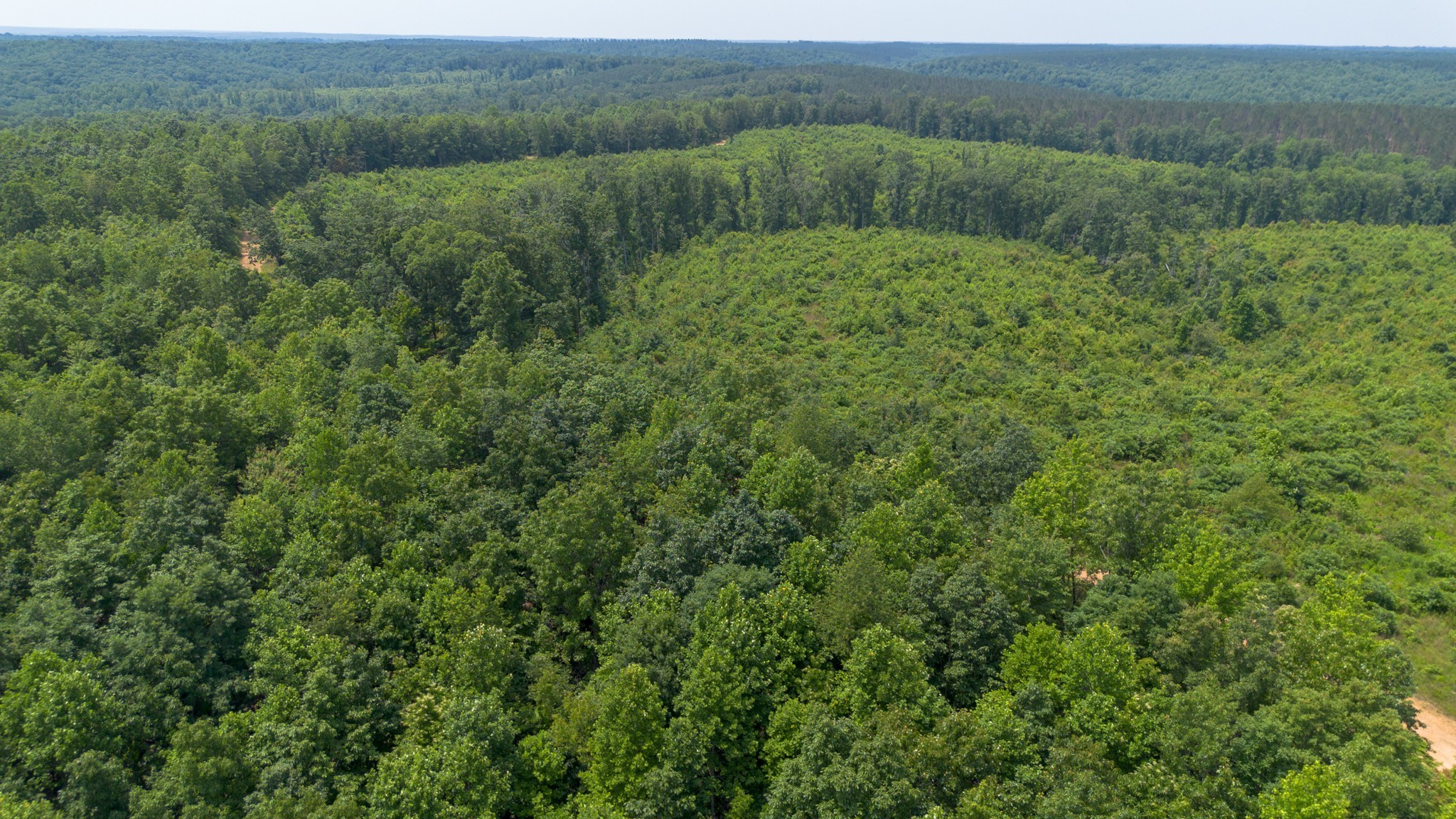 0 Mayfield Divide Road Centerville, TN 37033 - Photo 8 of 38