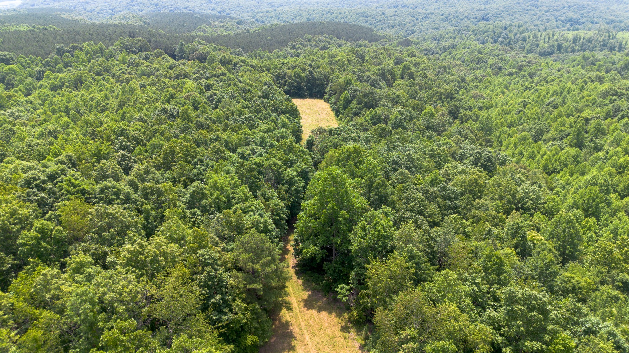 0 Mayfield Divide Road Centerville, TN 37033 - Photo 10 of 38