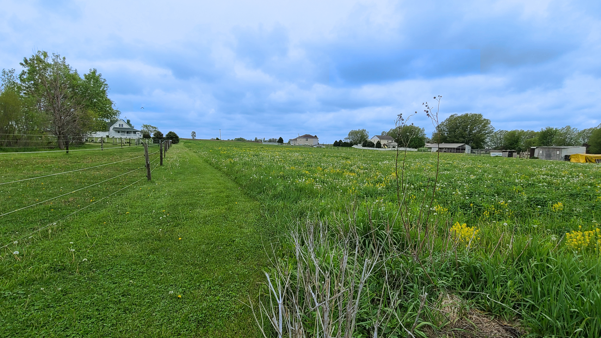 9468 West Pauling Road Monee, IL 60449 - Photo 3 of 9 a view of a green field with lots of green space and house in the back