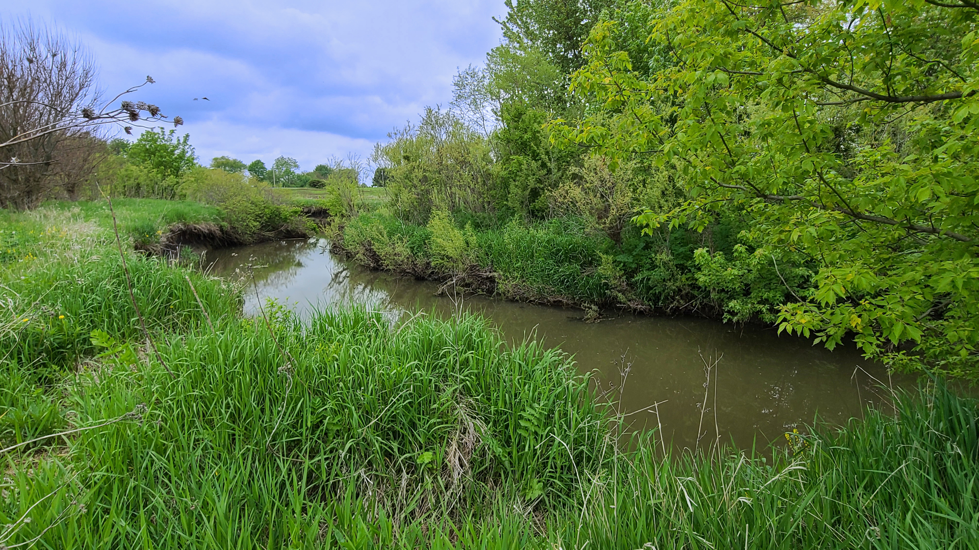 9468 West Pauling Road Monee, IL 60449 - Photo 4 of 9 a view of a lake with green space