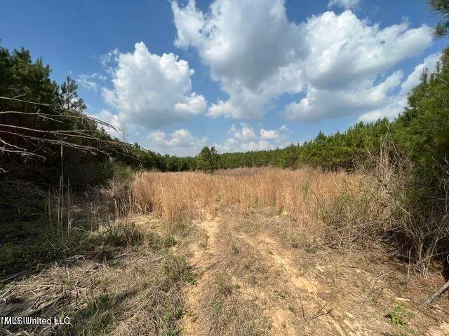 $153,700 | 0 Honeysucker Road, Camden, MS 39045