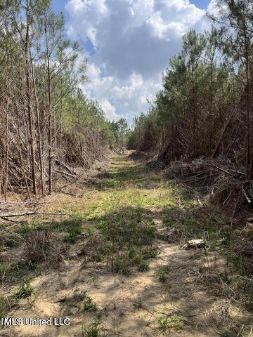 0 Honeysucker Road Camden, MS 39045 - Photo 4 of 18 20230313200233188551000000-o