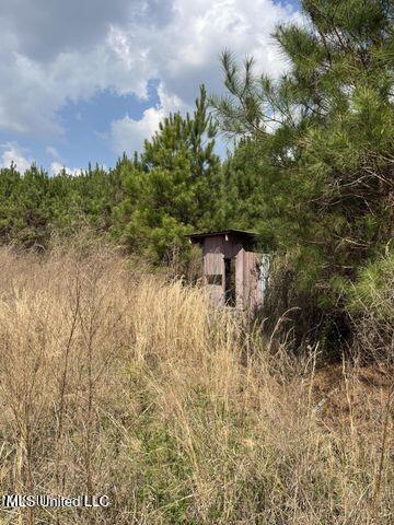 0 Honeysucker Road Camden, MS 39045 - Photo 5 of 18 20230313200300718075000000-o