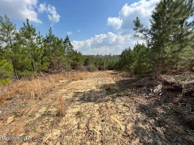 $153,700 | 0 Honeysucker Road, Camden, MS 39045