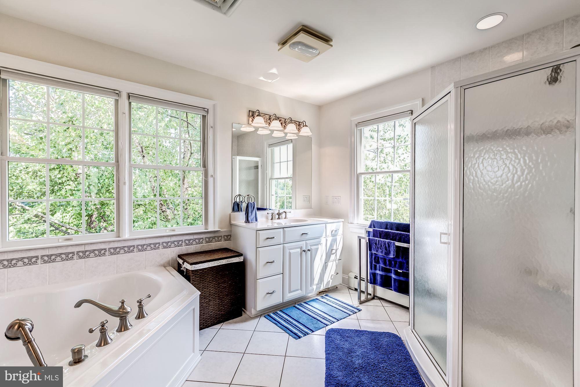 17603 Dry Mill Road Leesburg, VA 20175 - Photo 22 of 43 Gallery Image 22