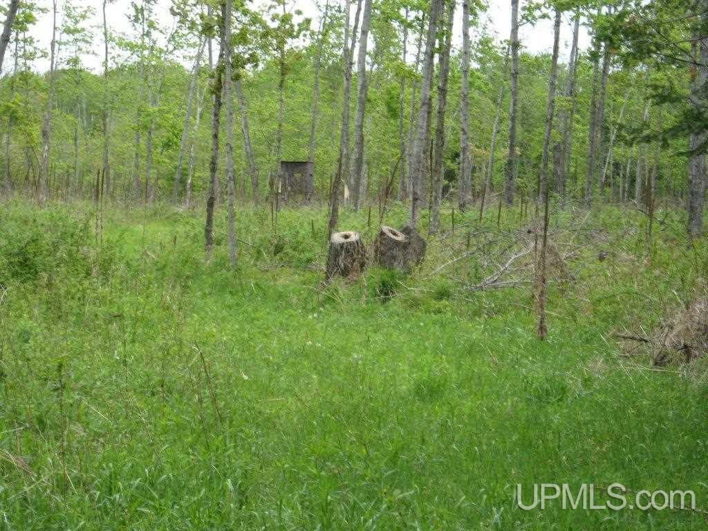 Tbd Co Rd H26 Rock, MI 49880 - Photo 12 of 17