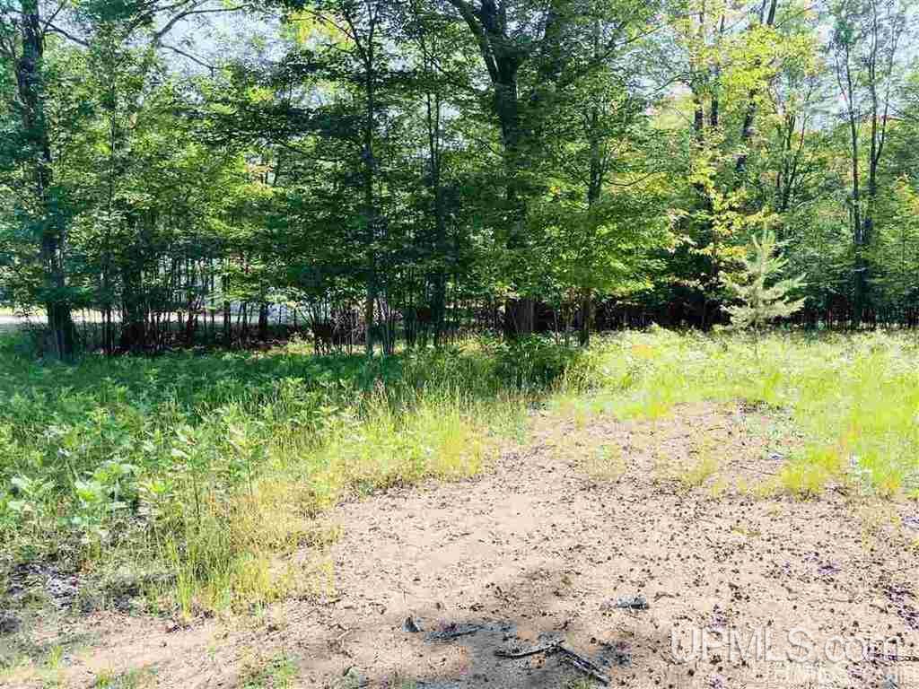 57 Tipperary Road Gladstone, MI 49837 - Photo 20 of 20