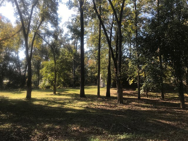 103 Elm Ridge Road Byron, GA 31008 - Photo 2 of 20 Additional Photo