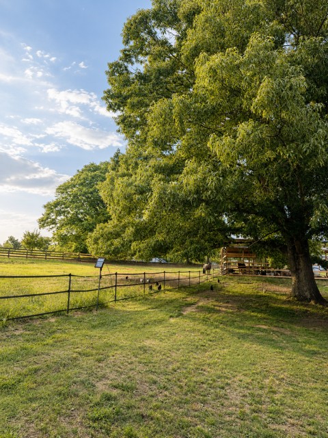 280 Hidden Point Road Hartwell, GA 30643 - Photo 41 of 46 Gallery Image 41