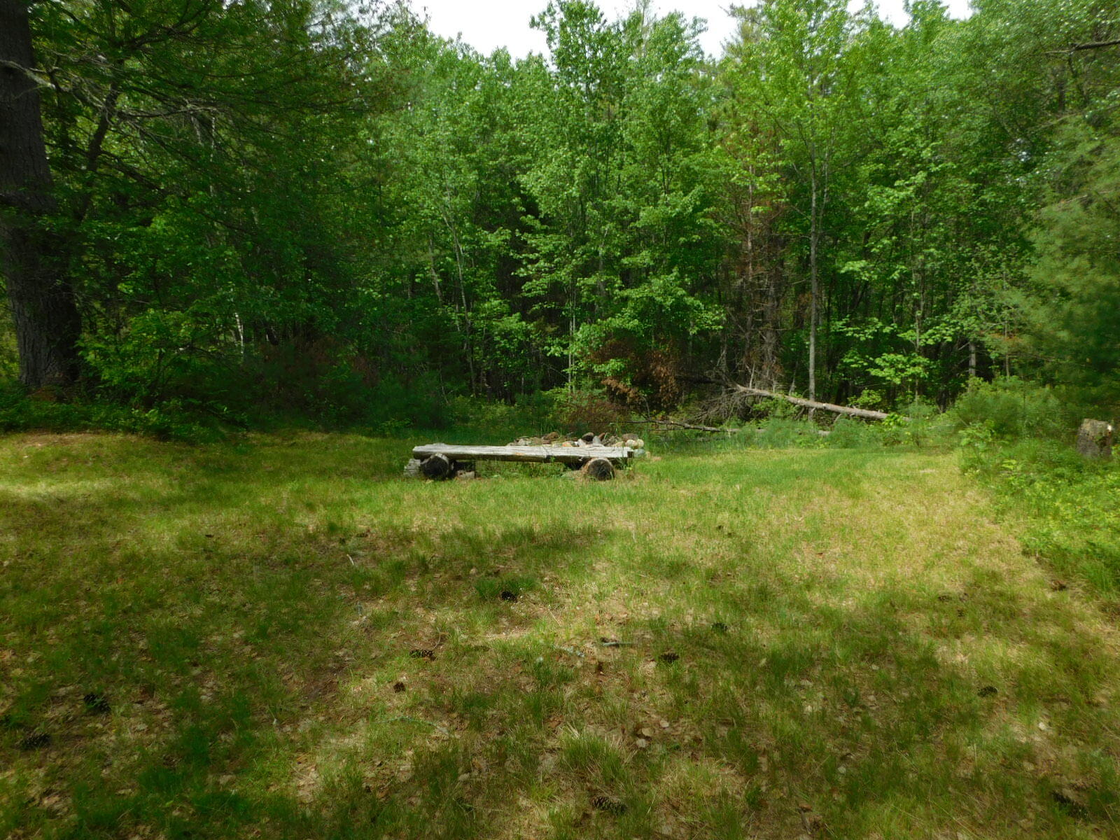 330 Ridlon Road Berwick, ME 03901 - Photo 10 of 25 DSCN0847