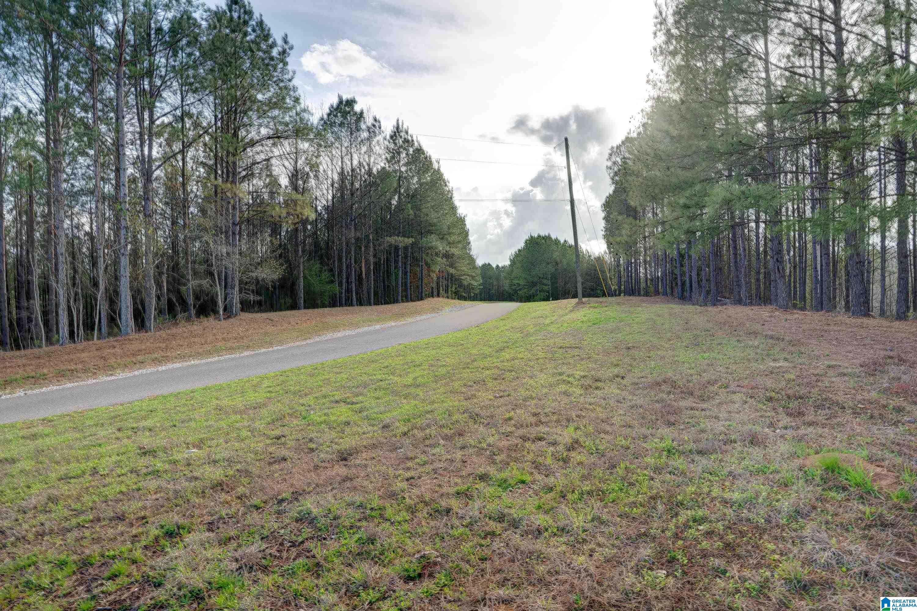 1321 Red Oak Road Helena, AL 35080 - Photo 7 of 12