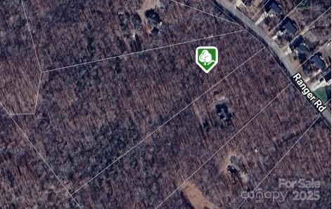 8.128-acres Ranger Road Clover, SC 29710 - Photo 2 of 11 a view of a street with a trees in the background