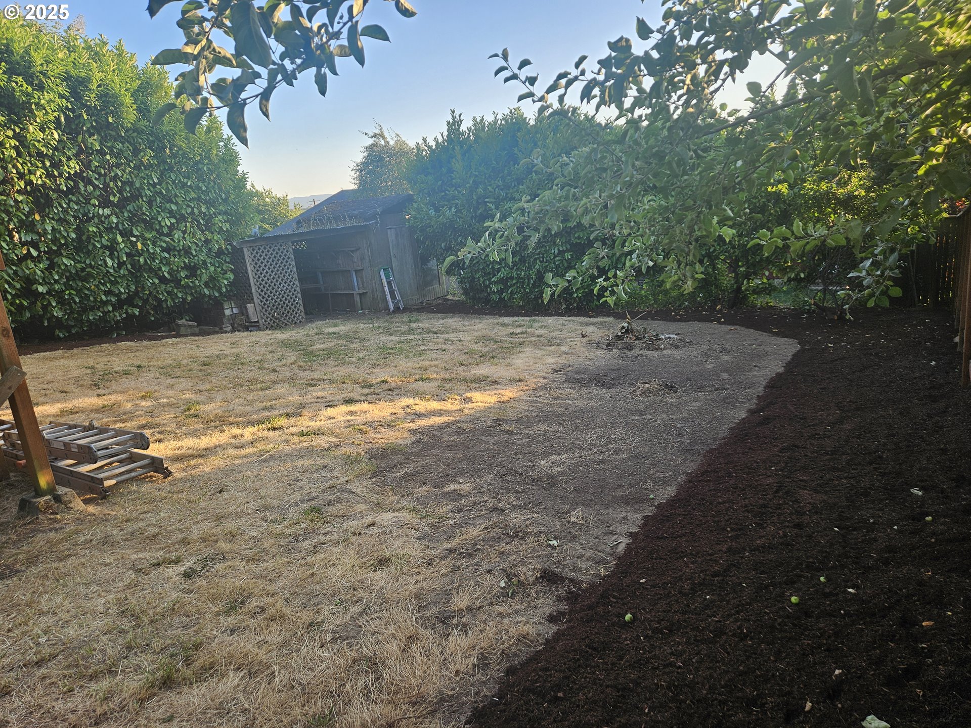315 North 1st Avenue Ridgefield, WA 98642 - Photo 16 of 17 a view of a yard with plants and trees