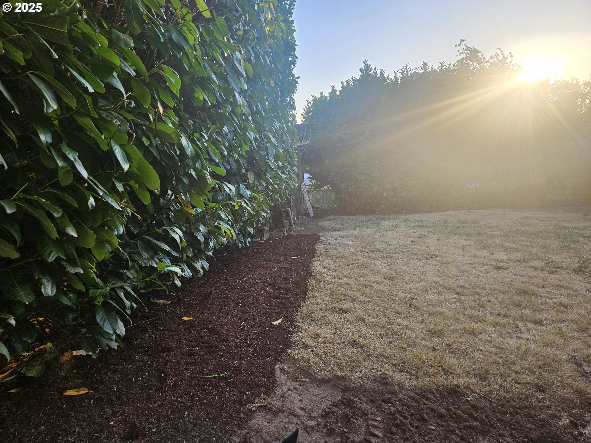 315 North 1st Avenue Ridgefield, WA 98642 - Photo 17 of 17 a view of a yard