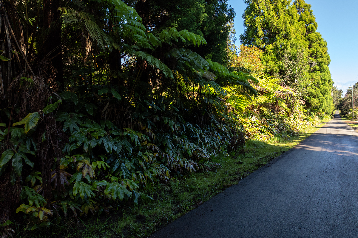 9 Haunani Road Volcano, HI 96785 - Photo 6 of 10 a view of a garden