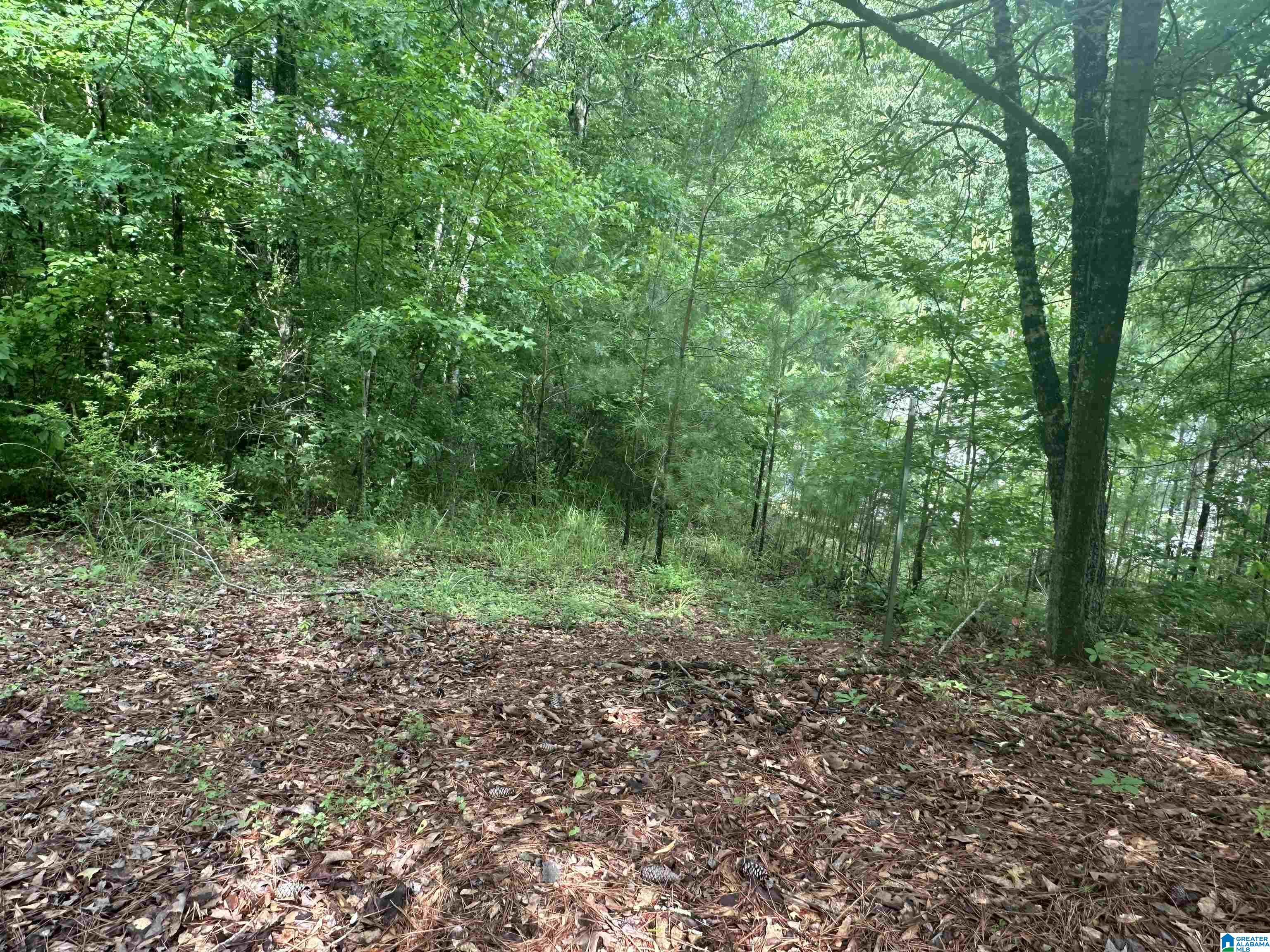 3098 McClendon Chapel Road Bessemer, AL 35022 - Photo 8 of 16