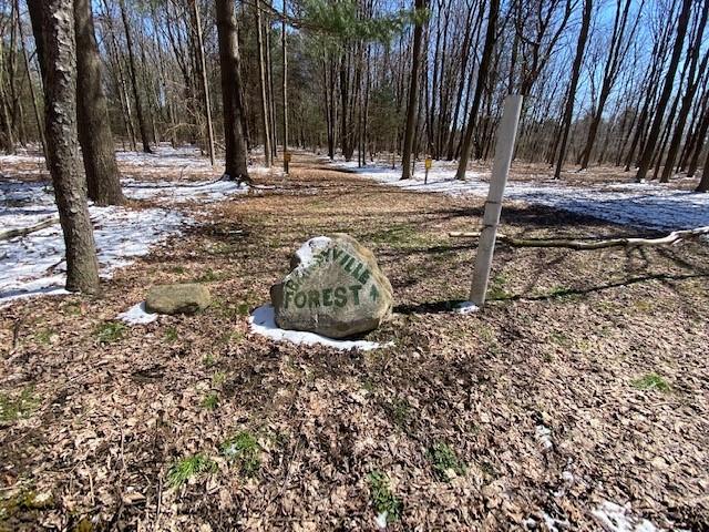 0 Bandy Road Jamestown, PA 16134 - Photo 3 of 5
