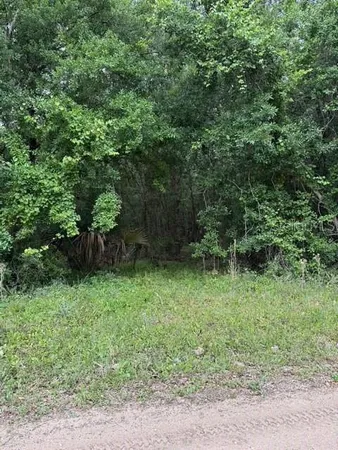 a view of outdoor space and yard