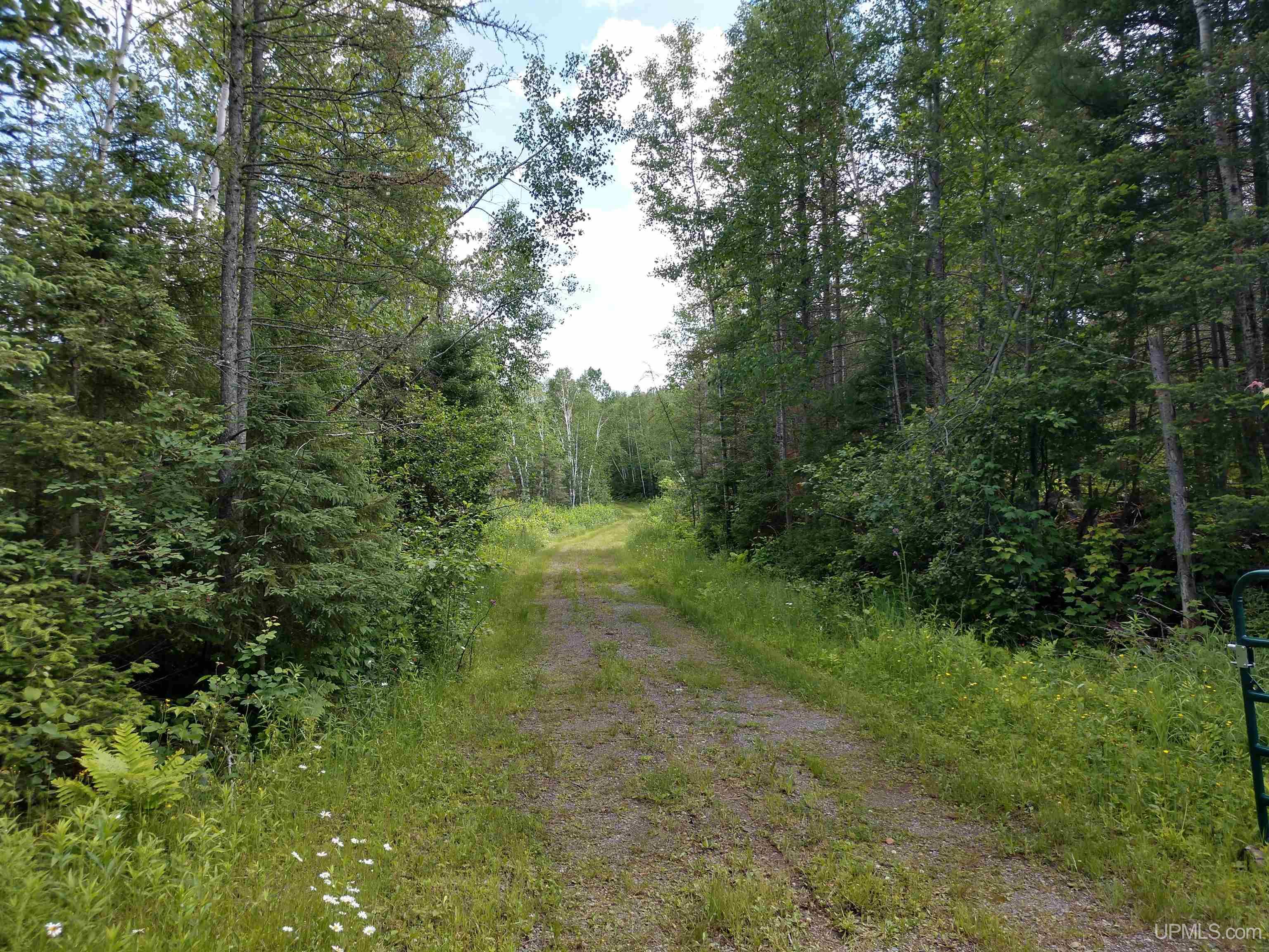 601 County Road 601 Road Republic, MI 49879 - Photo 36 of 60