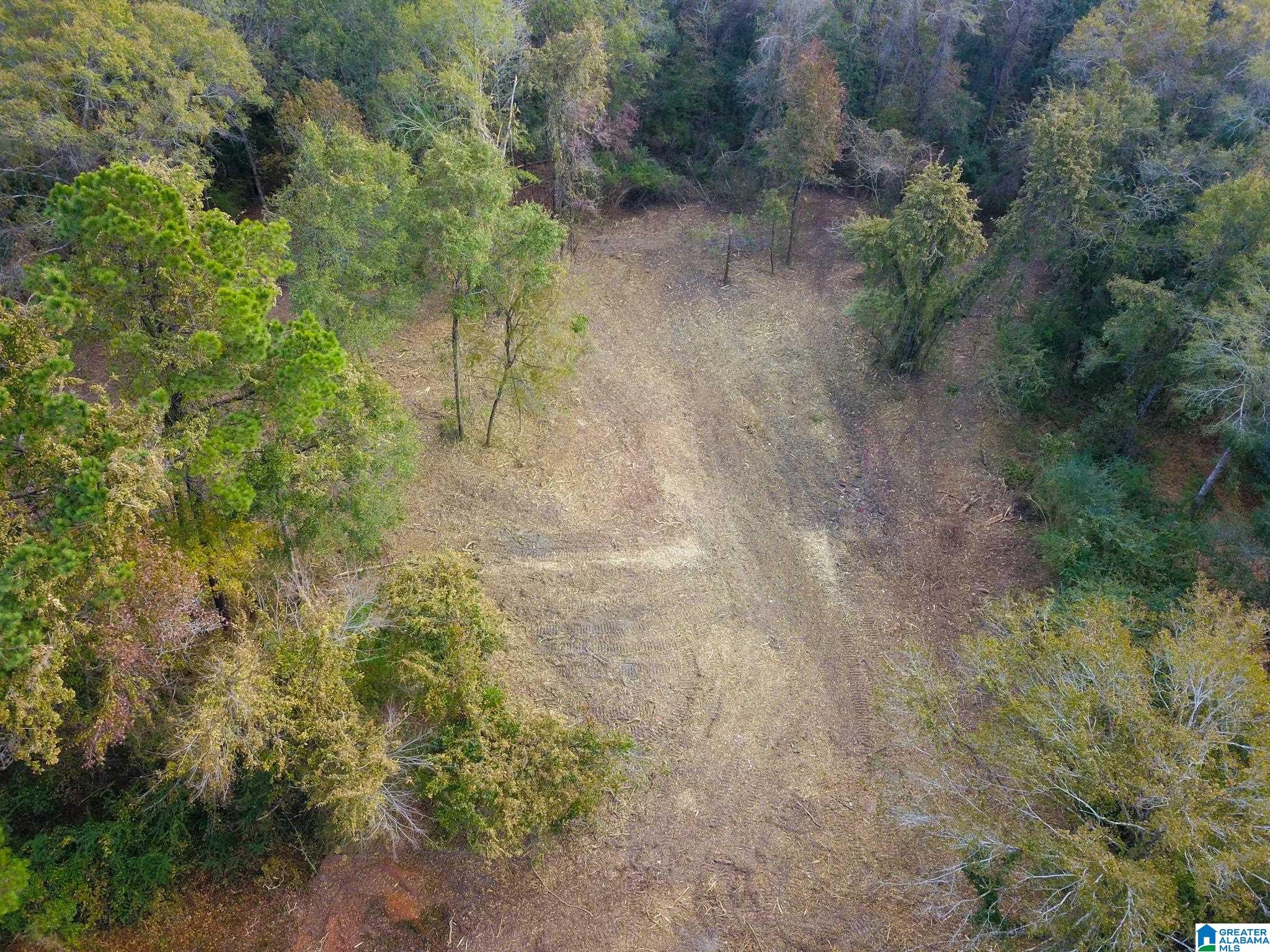 0 Midway Road Tuskegee, AL 36083 - Photo 2 of 30