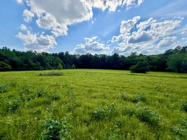 $1,500,000 | 1251 Highway 96, Fairview, TN 37062