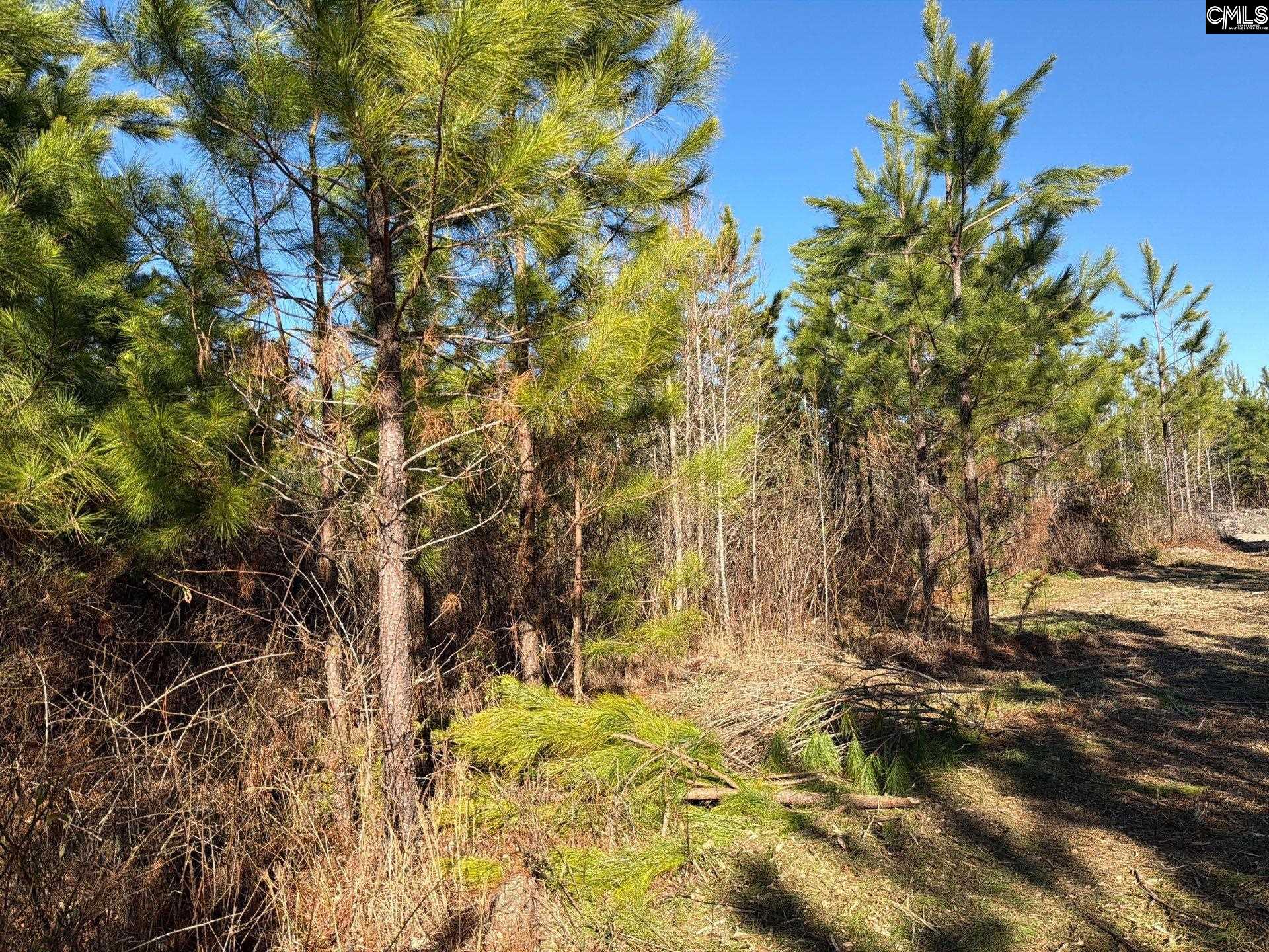 6 Brunson Teal Road, Unit BFF II 6 Patrick, SC 29584 - Photo 18 of 19