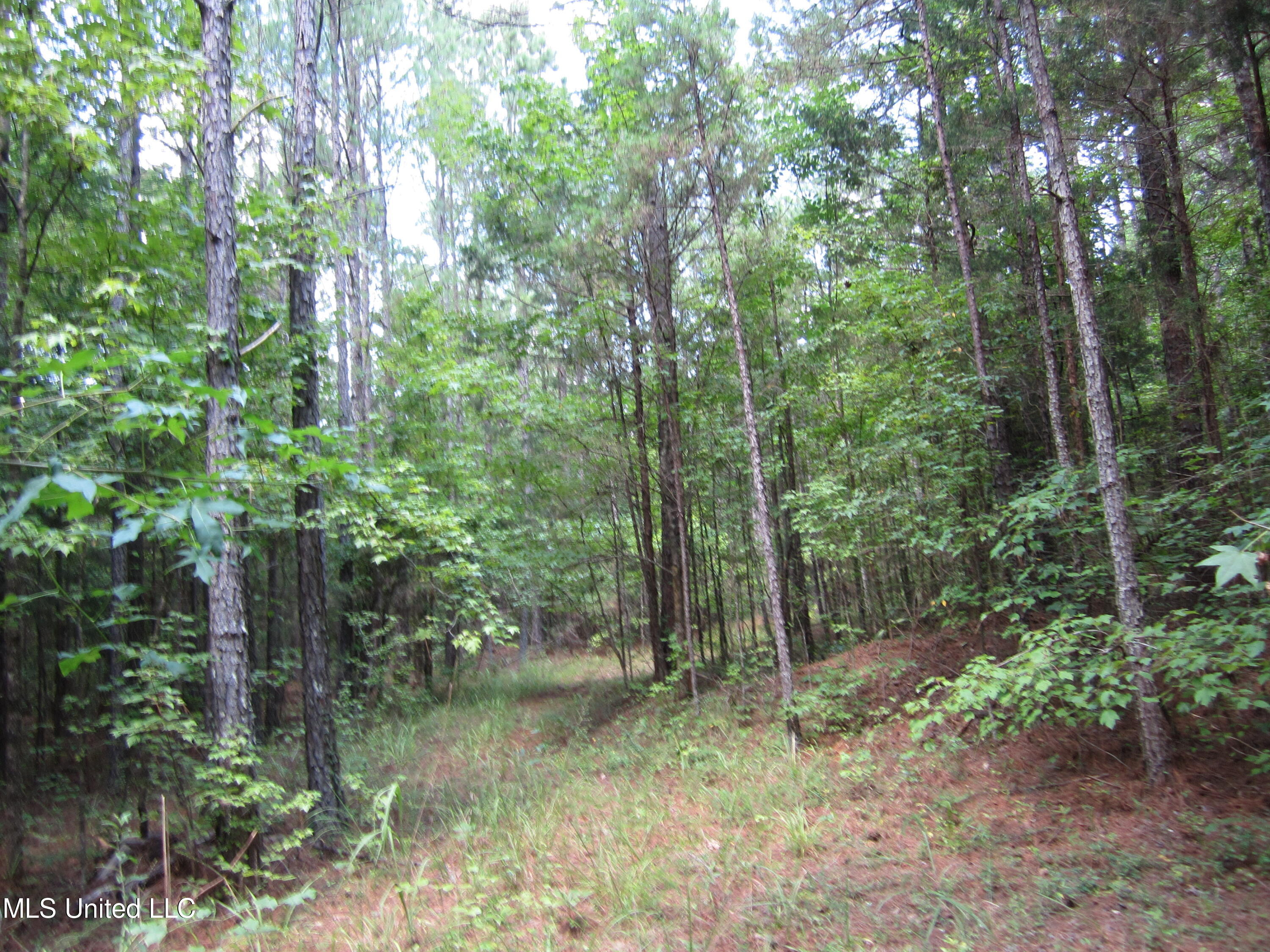 Mitchell Duke Road Pontotoc, MS 38863 - Photo 2 of 13 IMG_7335