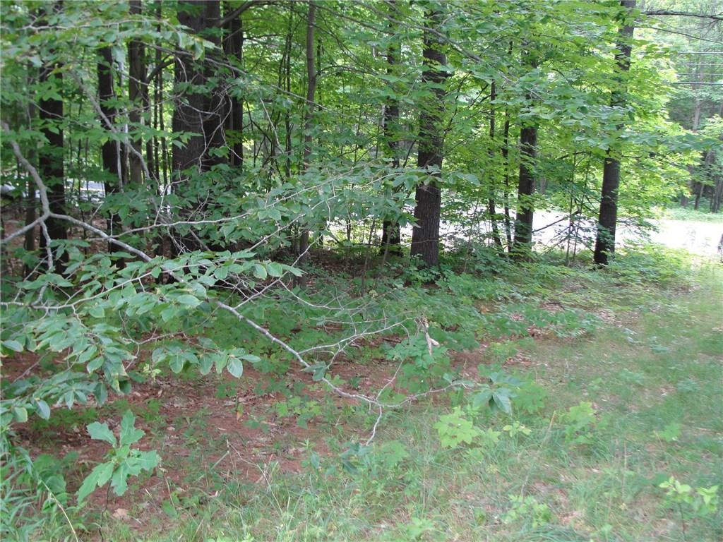 0 South Bridgton Road Bridgton, ME 04009 - Photo 9 of 11 Photo