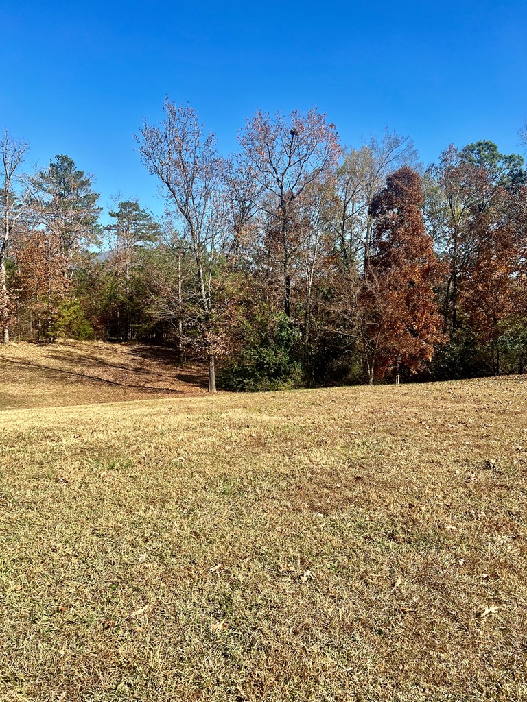 421 Flood Town Road Chatsworth, GA 30705 - Photo 14 of 56 Gallery Image 14