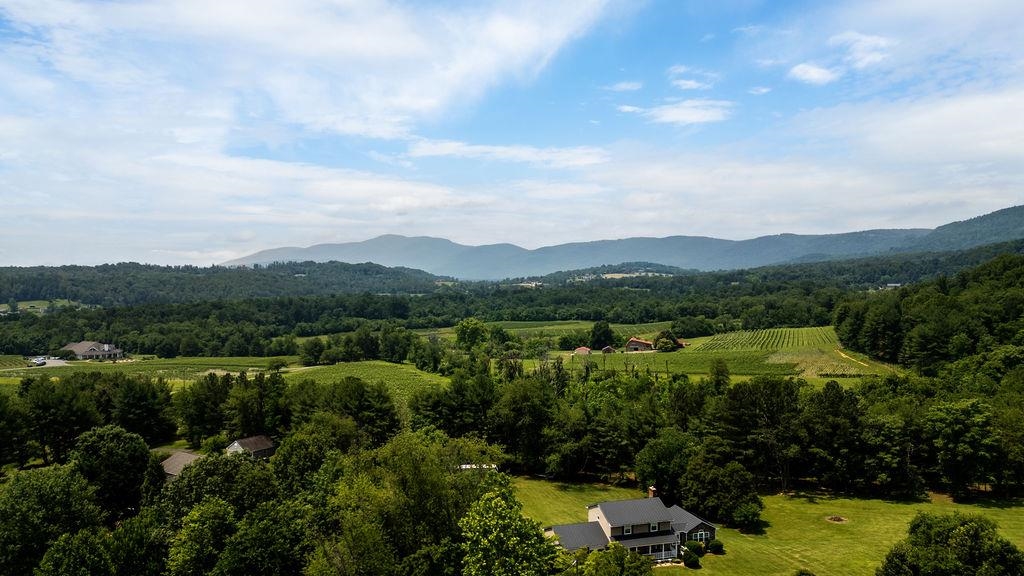 Tbd Newtown Road Greenwood, VA 22943 - Photo 26 of 33