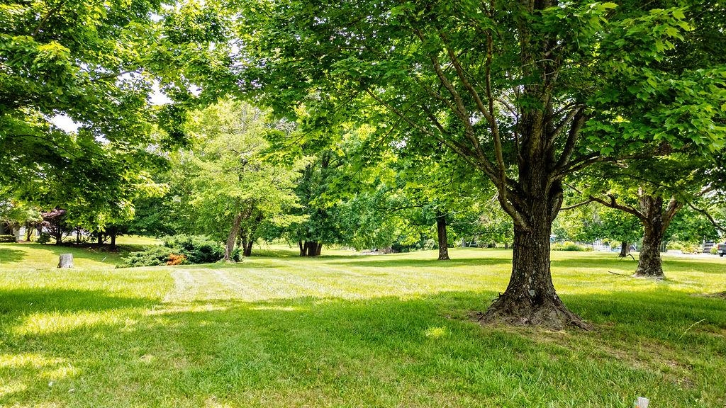 Tbd Newtown Road Greenwood, VA 22943 - Photo 29 of 33