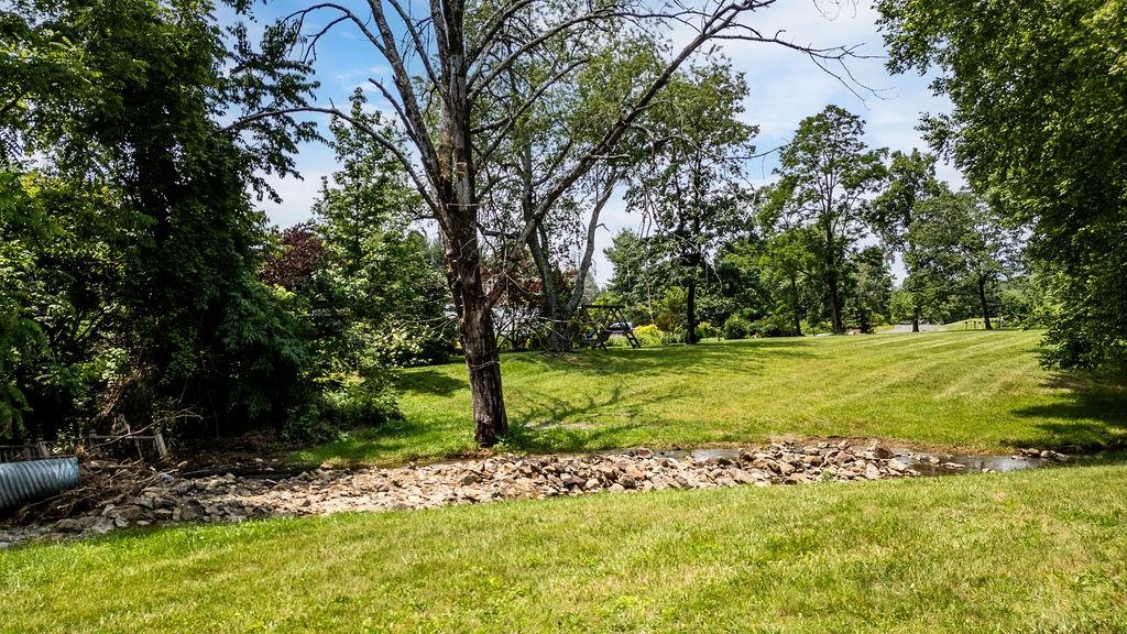 Tbd Newtown Road Greenwood, VA 22943 - Photo 3 of 33