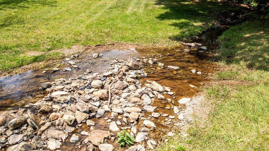 Tbd Newtown Road Greenwood, VA 22943 - Photo 4 of 33