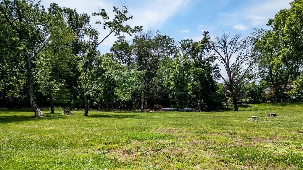 Tbd Newtown Road Greenwood, VA 22943 - Photo 6 of 33